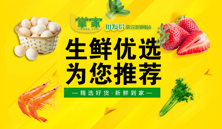掌家，批發(fā)價(jià)賣(mài)菜的網(wǎng)站